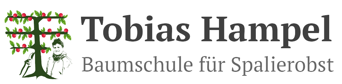 Tobias Hampel Spalierobst