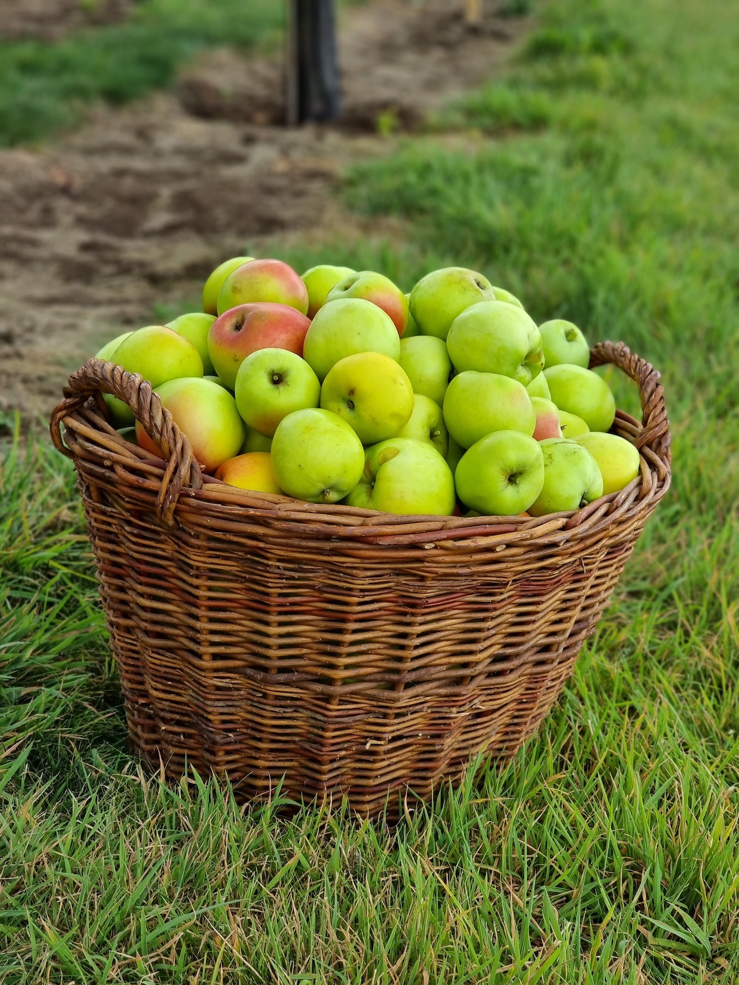 Tobias Hampel bei der Arbeit